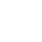 Icon Lotto